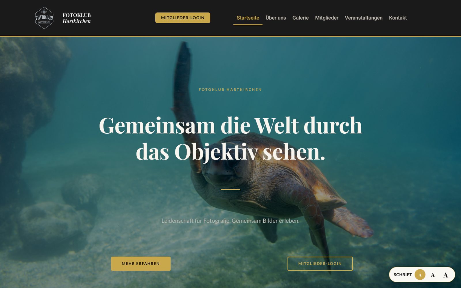 Startseite des Fotoklub Hartkirchen mit Schildkröten-Foto eines Mitglieds und dem Satz: Gemeinsam die Welt durch das Objektiv sehen.