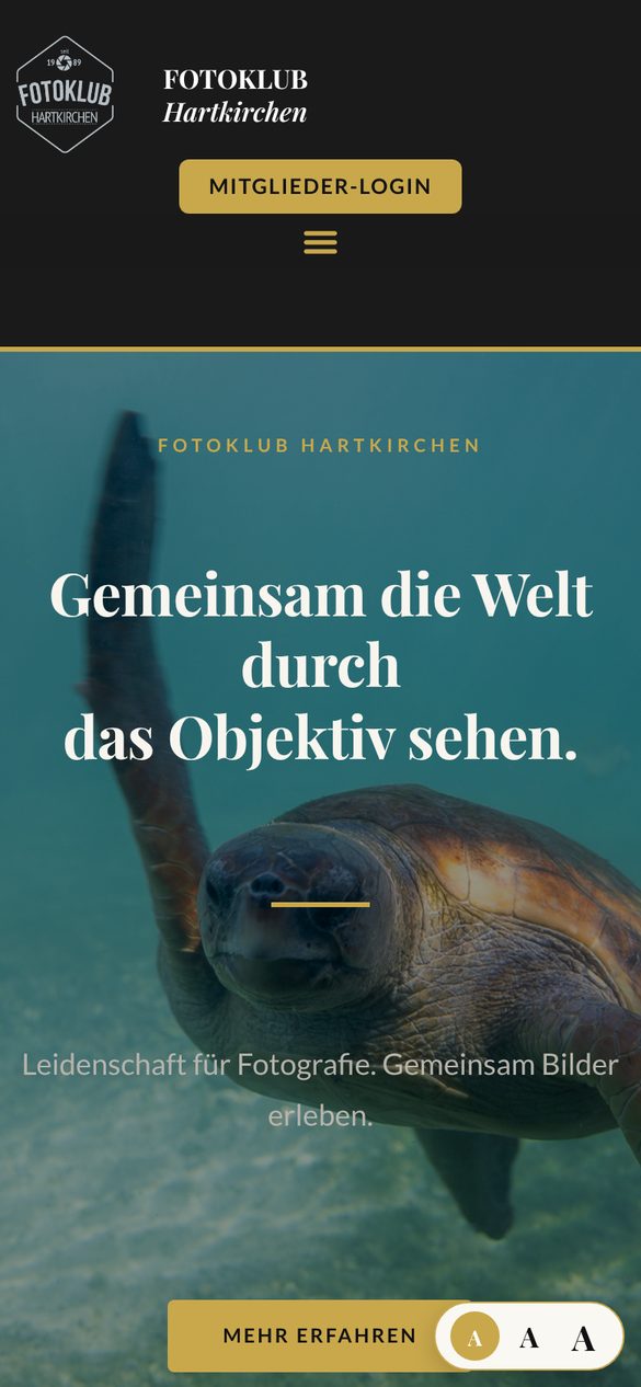Startseite am Handy