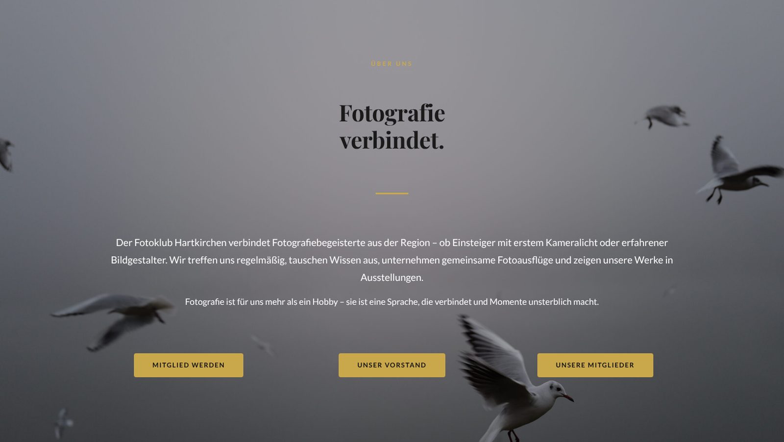 Über-uns-Bereich: Fotografie verbindet